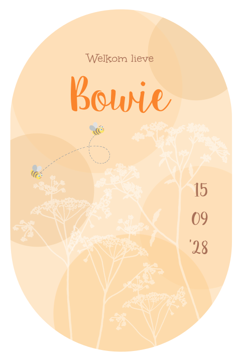 Geboortekaartje voor een meisje met bijtjes en bloemen